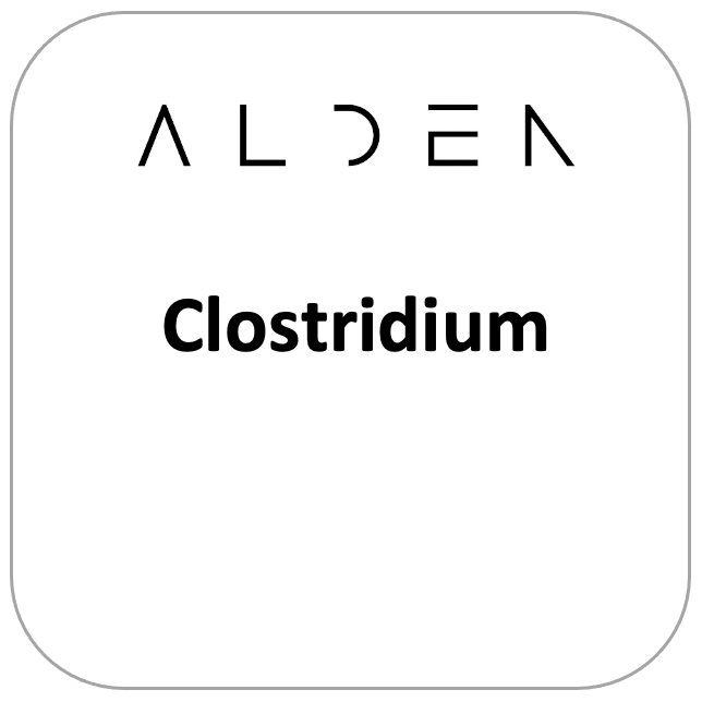 Clostridium Perfringens