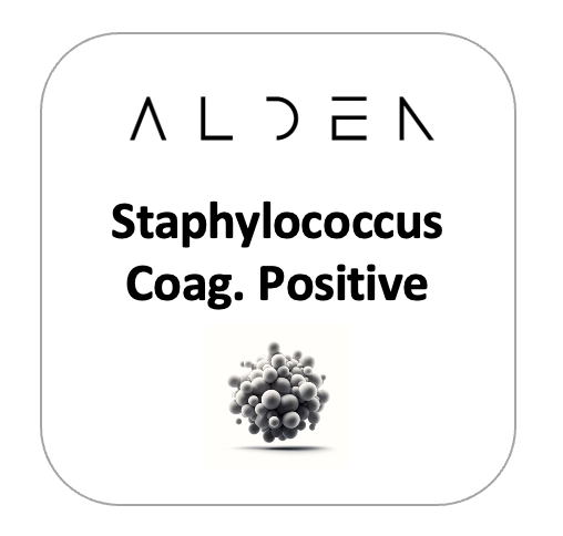 Staphylococcus (Coag. Positive)