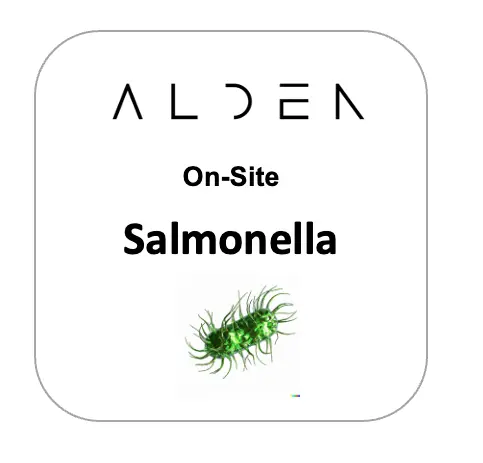 Salmonella Onsite - Qty 25