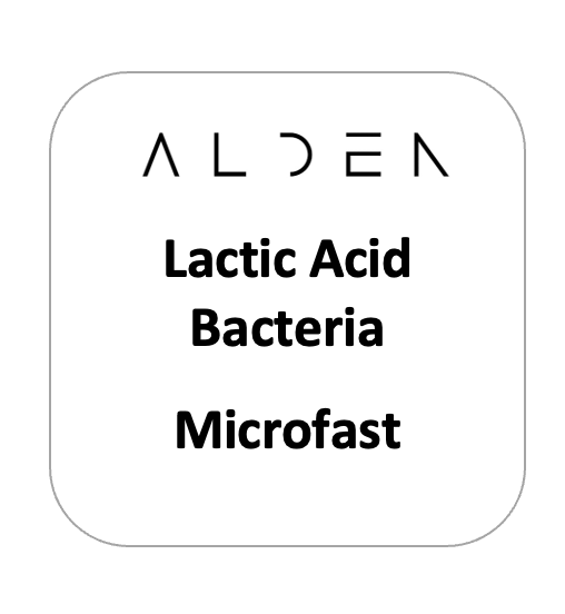 Lactic Acid Bacteria - Microfast - Qty 25