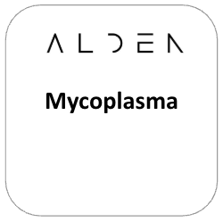 Mycoplasma