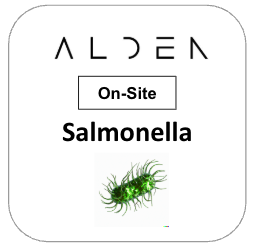 Salmonella On-Site - Qty 25