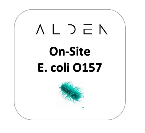 S1 for E. coli O157 Onsite
